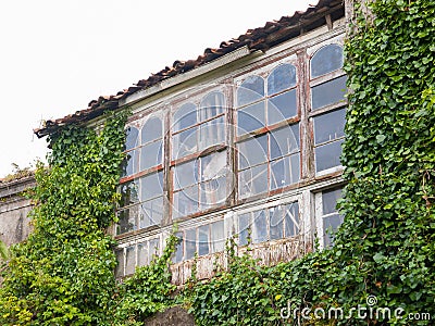 Abandoned house invaded by nature Stock Photo