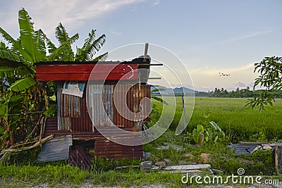 Abandoned hut at the rice paddy field Stock Photo