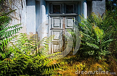 An abandoned mysterious entrance Stock Photo