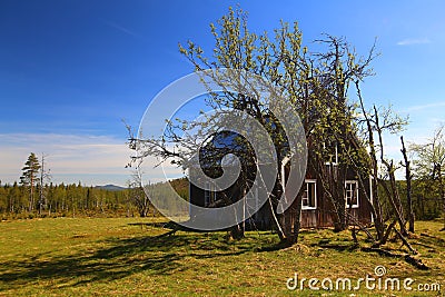 An Abandoned northern Swedish house in thicket Stock Photo