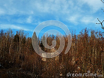 An abandoned old house hidden among the trees of spruce and beech, a forest idyll of unspoiled nature Stock Photo