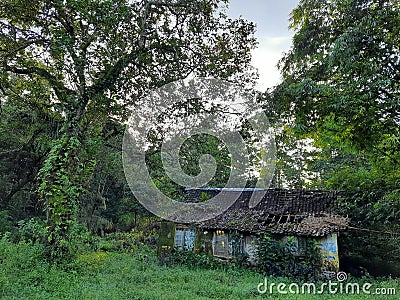 abandoned old house in the silent morning Stock Photo