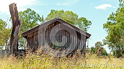 Abandoned Old Timber Hut Fronted By Tall Grass Stock Photo