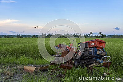 Abandoned old truck at the rice paddle field Stock Photo