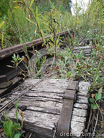 Abandoned rail overgrowed with plants in Hungary Stock Photo