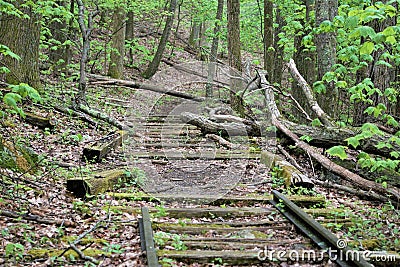 Abandoned railroad tracks disappear into forest Stock Photo