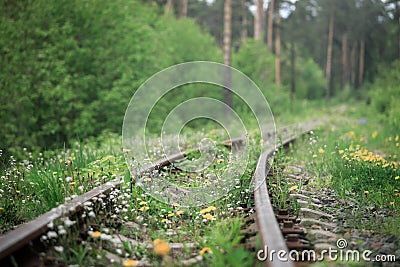 Abandoned railway with the grass and dandelions Stock Photo