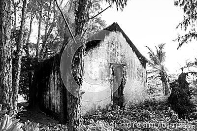 Abandoned residence in the jungle, Black and White Stock Photo