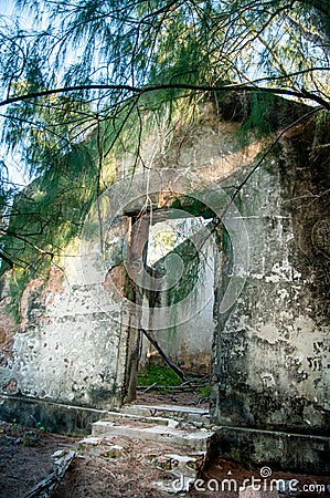 Abandoned residence in the jungle Stock Photo