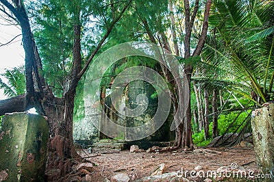 Abandoned residence in the jungle Stock Photo