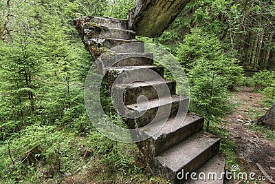 Abandoned rest of the concrete staircase in the woods Stock Photo