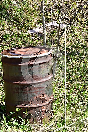 Abandoned rotting 55-Gallon Drums in Woodlands Stock Photo