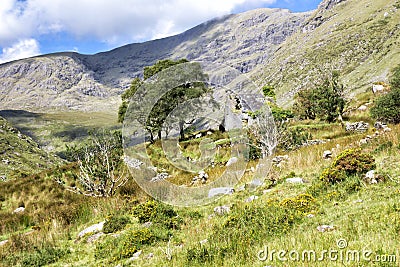 Abandoned Rrual Cottage in Kerry Mountains Stock Photo