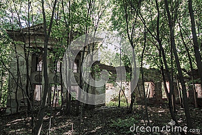 Abandoned ruined overgrown church in the wood, Drezgalovo, Lipetsk region Stock Photo