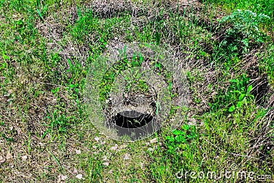 Abandoned sewer open dangerous hatch in the ground. Stock Photo