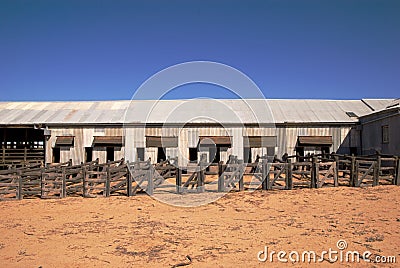 Abandoned shearing shed Stock Photo