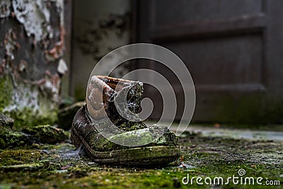 Abandoned shoe with moss Stock Photo