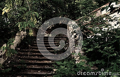 Abandoned staircase in the forest Stock Photo