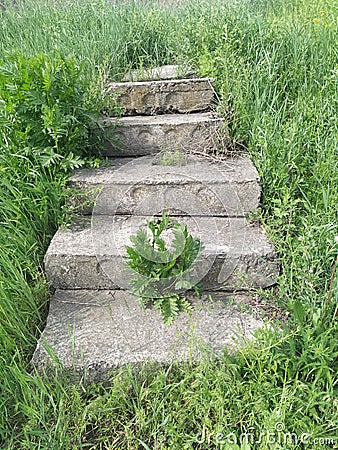 abandoned staircase leading to nowhere green grass Stock Photo