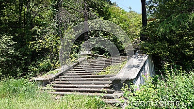 Abandoned stairs in the Bush Stock Photo