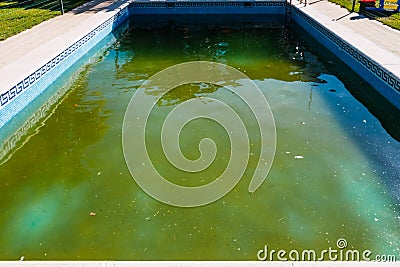 Abandoned swimming pool with green rotten water outdoors Stock Photo