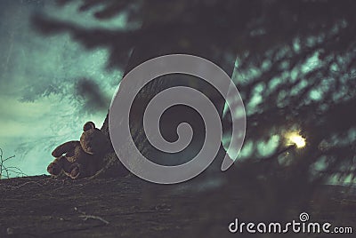 Abandoned Teddy Bear Toy in Dark Foggy Forest Missing Child Concept Stock Photo