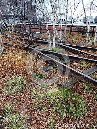 Abandoned Tracks Running Through High Line Park in New York City Stock Photo