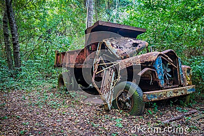 Abandoned truck in the jungle Stock Photo