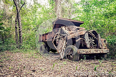 Abandoned truck in the jungle Stock Photo