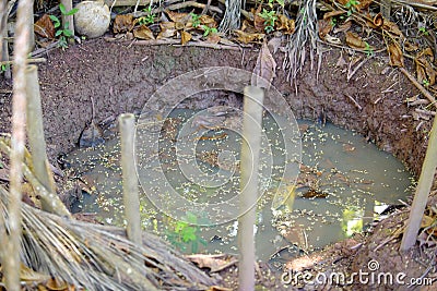 abandoned in a vase with stagnant water inside. close up view. mosquitoes in potential breeding ground Stock Photo