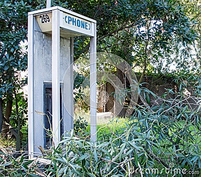 Abandoned vandalized phone booth among trees and weeds Stock Photo