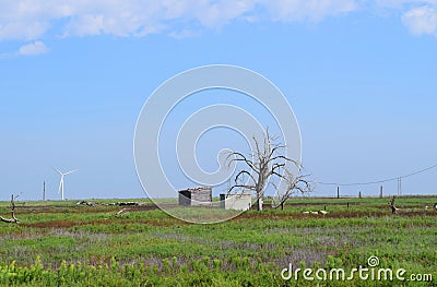 Abandoned wood shack and storm cellar in rural Texas Panhandle Stock Photo