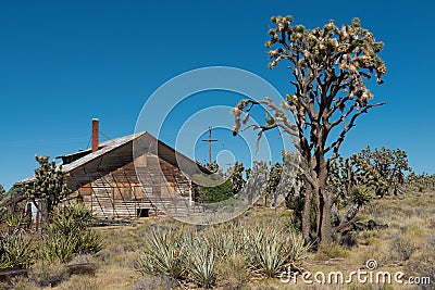 Abandoned wooden house Stock Photo