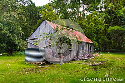 an abandoned wooden pioneer home in Bournda National Park, New South Wales, Australia Stock Photo