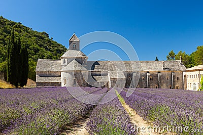Abbaye de SÃ©nanque with blooming lavender field Stock Photo