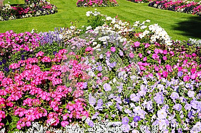 Abbey Gardens flowerbeds, Evesham. Stock Photo