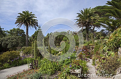 Abbey Gardens, Tresco, Isles of Scilly, England Stock Photo