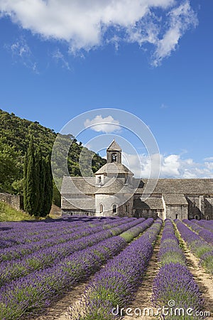 Abbey of Senanque in summer light Stock Photo