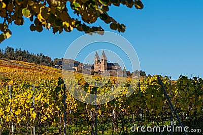 Abbey of St. Hildegard, Ruedesheim / Germany, framed by autumn colored vineyards Stock Photo