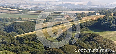 Abbotsbury Stock Photo