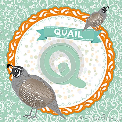 ABC animals Q is quail. Childrens english alphabet. Vector Vector Illustration