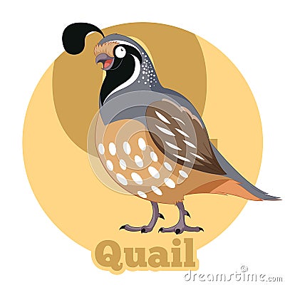 ABC Cartoon Quail Vector Illustration