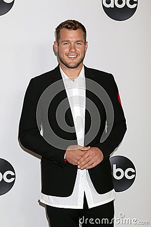 ABC TCA Party- Summer 2018 Editorial Stock Photo