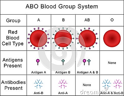 ABO Blood Group System Stock Photo