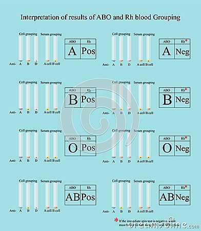 ABO and Rh Blood group tube test Vector Illustration