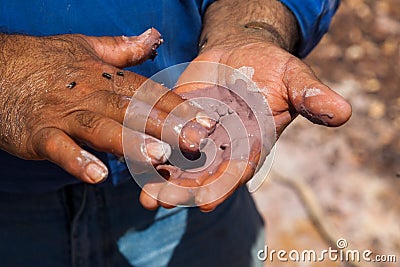 Aboriginal body painting. Flinders Ranges. South Australia. Stock Photo