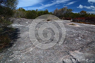 Aboriginal rock engraving. Ku-ring-gai Chase National Park. New South Wales. Australia Stock Photo