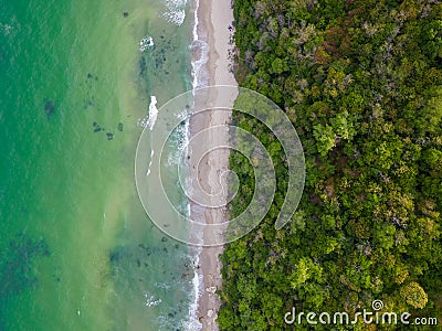 From above, the mesmerizing beach unfolded with golden sand caressed by turquoise waves. Lush green forests adorned the Stock Photo