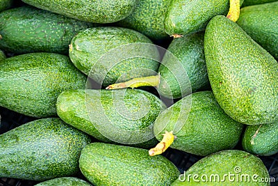 Above shoot of a pile of very delicious exotic vegetable, avacado. Stock Photo