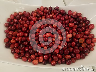 Above view of fresh cranberries in white bowl, get your antioxidants Stock Photo
